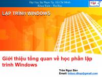 Bài giảng Giới thiệu tổng quan về học phần lập trình Windows