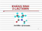 Bài giảng kháng sinh b-Lactamin