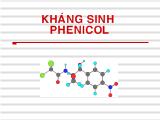 Bài giảng Kháng sinh phenicol