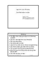 Bài giảng Lập trình C trên Windows: Các khái niệm cơ bản - Nguyễn Tri Tuấn