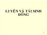 Bài giảng Luyện và tái sinh đồng