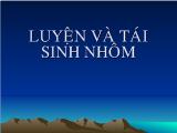 Bài giảng Luyện và tái sinh nhôm