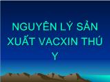 Bài giảng Nguyên lý sản xuất vacxin thú y