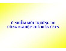 Bài giảng Ô nhiễm môi trường do công nghiệp chế biến cao su thiên nhiên