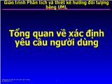 Bài giảng Tổng quan về xác định yêu cầu người dùng