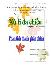 Bài giảng Xử lí đa chiều: Phân tích thành phần chính