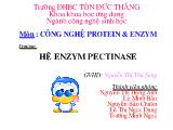Bài thảo luận môn Công nghệ protein và enzym: Hệ enzym pectinase