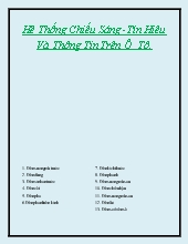 Hệ thống chiếu sáng: Tín hiệu và thông tin trên ô tô