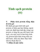 Tinh sạch protein: Phân tách protein bằng điện vi trên gel
