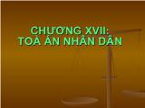 Bài giảng Tòa án nhân dân