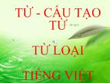 Bài thảo luận Từ, cấu tạo từ loại tiếng Việt