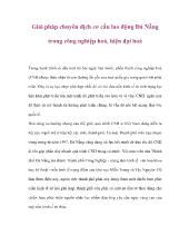 Giải pháp chuyển dịch cơ cấu lao động Đà Nẵng trong công nghiệp hóa, hiện đại hóa