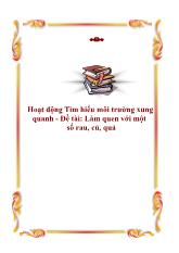 Hoạt động tìm hiểu môi trường xung quanh - Làm quen với một số rau, củ, quả
