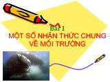 Một số nhận thức chung về môi trường