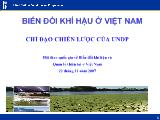 Biến đổi khí hậu ở Việt Nam. Chỉ đạo chiến lược của UNDP