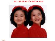 Bài tập nhân đôi AND và ARN