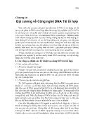 Đại cương về Công nghệ DNA Tái tổ hợp