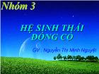 Hệ sinh thái đồng cỏ