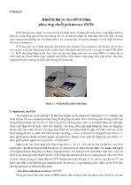 Khuếch đại in vitro DNA bằng phản ứng chuỗi polymerase (PCR)