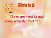 Sự nhân lên của virut trong tế bào chủ