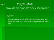 Thực hành quan sát các dạng đột biến nhiễm sắc thể