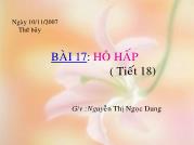 Bài 17: Hô hấp