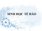 Các bào quan khác của tế bào