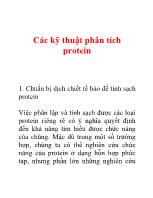 Các kỹ thuật phân tích protein