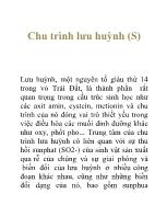 Chu trình lưu huỳnh (S)