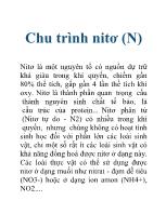 Chu trình nitơ (N)