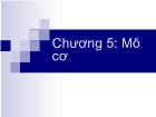 Chương 5: Mô cơ