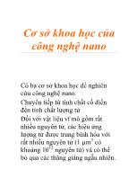 Cơ sở khoa học của công nghệ nano