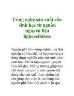 Công nghệ sản xuất cồn sinh học từ nguồn nguyên liệu lignocellulose