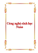 Công nghệ sinh học Nano