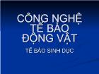 Công nghệ tế bào động vật