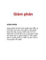 Đề tài Giảm phân