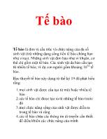 Đề tài Tế bào