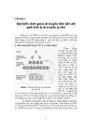 Đột biến đơn gene di truyền liên kết với giới tính & di truyền ty thể