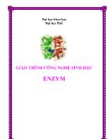 Giáo trình công nghệ sinh học enzym