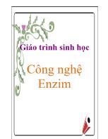 Giáo trình sinh học Công nghệ Enzim