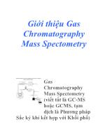 Giới thiệu Gas Chromatography Mass Spectometry