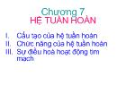 Hệ tuần hoàn