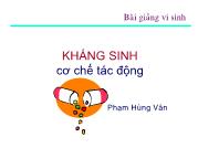 Kháng sinh cơ chế tác động