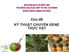 Kỹ thuật chuyển gene thực vật