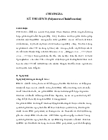 Kỹ thuật PCR (Polymerase Chain Reaction)