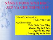 Năng lượng sinh học -ATP và chu trình ATP