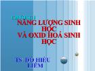 Năng lượng sinh học và oxid hoá sinh học