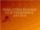 Năng lượng sinh học và sự phosphoryl- Oxy hoá