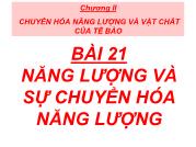 Năng lượng và sự chuyển hóa năng lượng