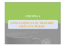 Năng lượng và sự trao đổi chất của tế bào